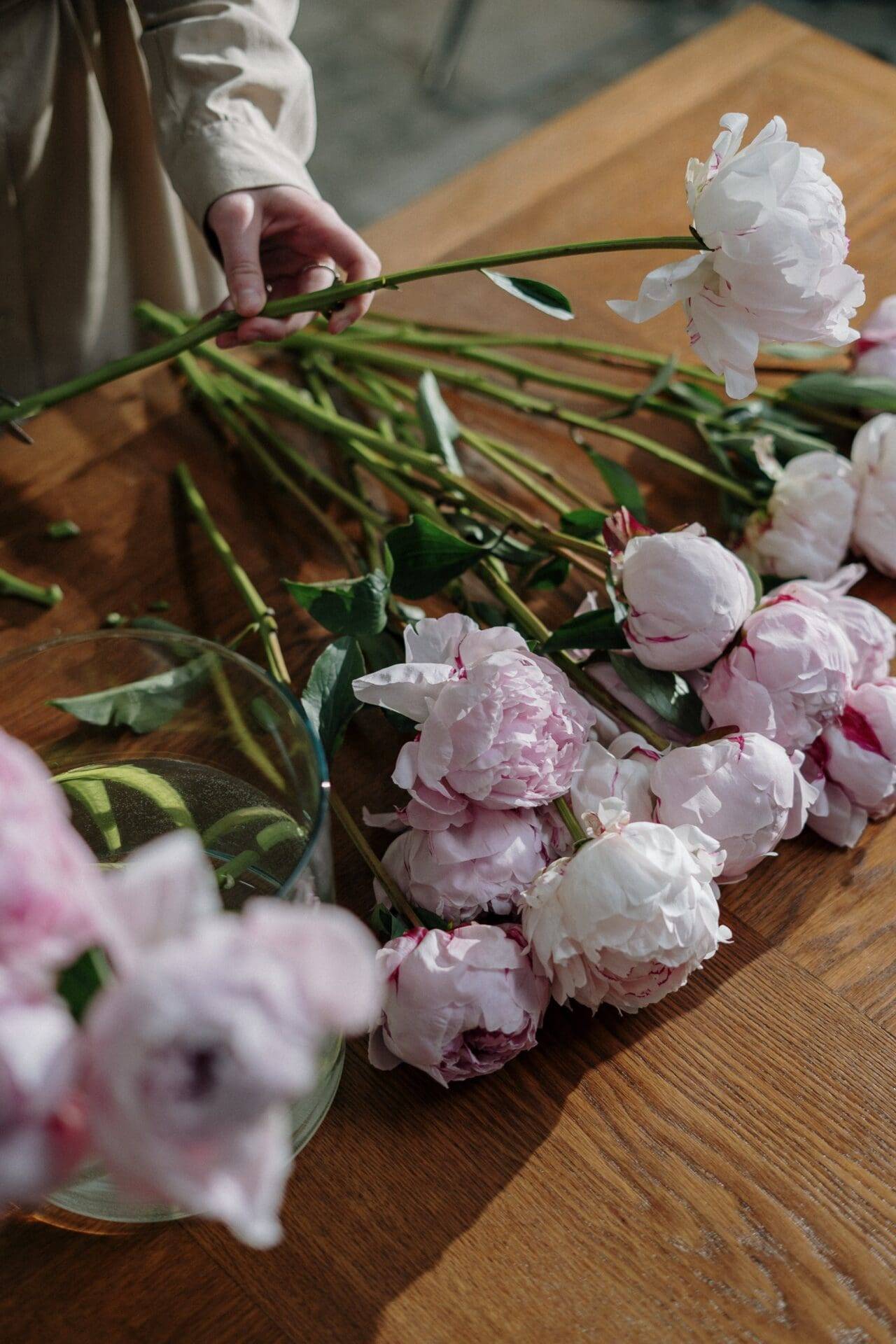 two pink green Orchid Flowers<br />
